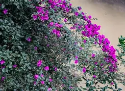 ?Qg*悖楖zubb?x‖Bg囥?雡Cx?/-九游体育平台